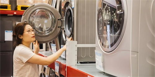 新一轮家电以旧换新政策出台 渠道商与消费者共迎利好，家用电器销售注入新动能